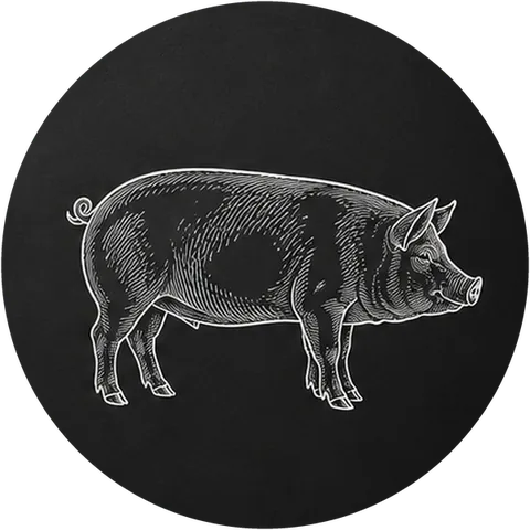 Schwein
