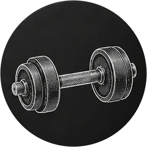 Fitness + Bodybuilding