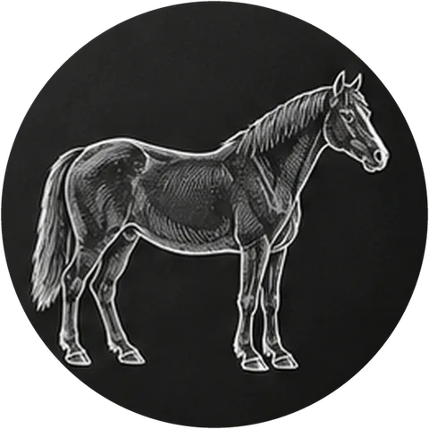Pferd